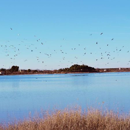 Albergue Los Patos Villafranca de los Caballeros المظهر الخارجي الصورة