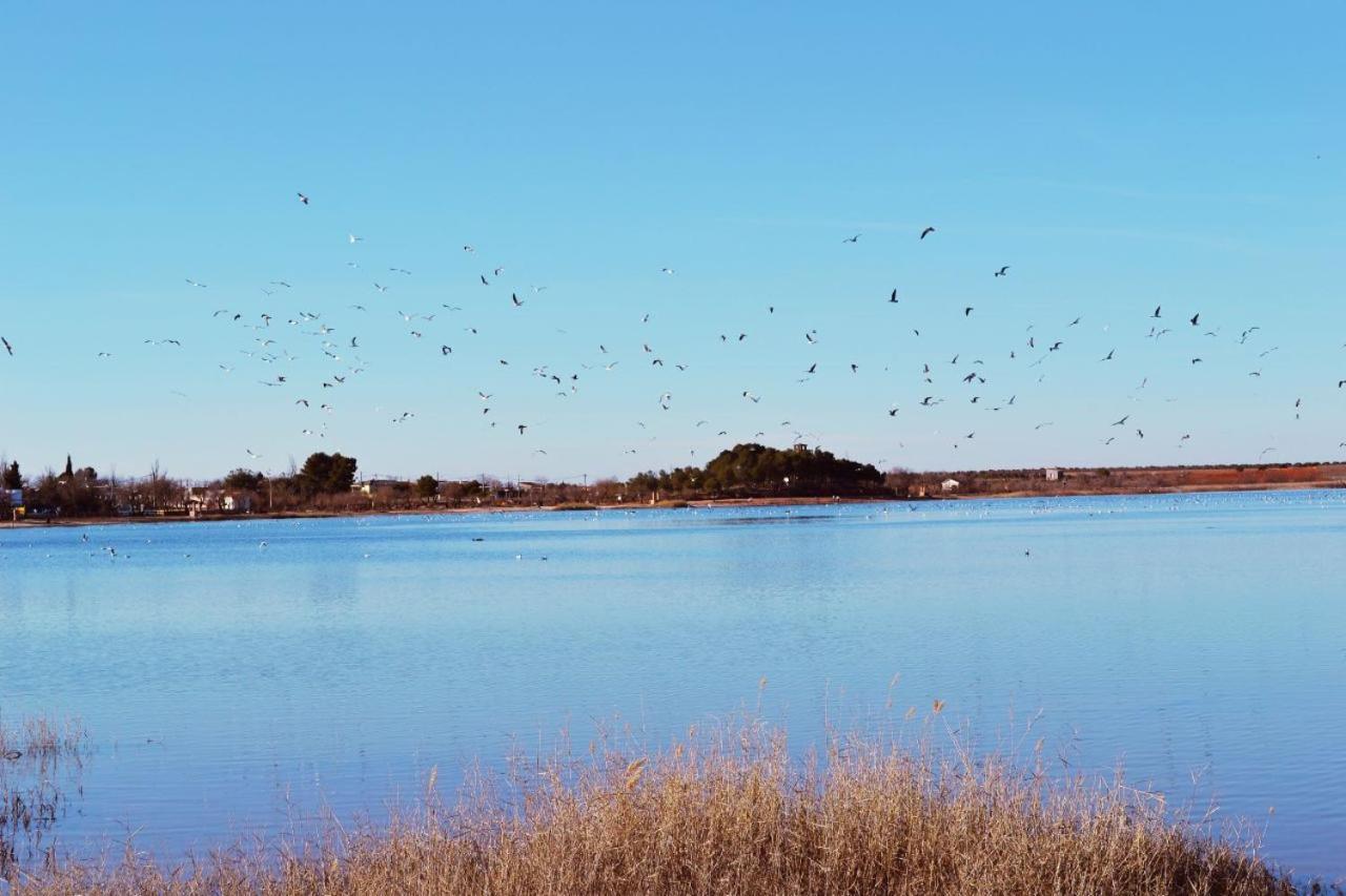 Albergue Los Patos Villafranca de los Caballeros المظهر الخارجي الصورة